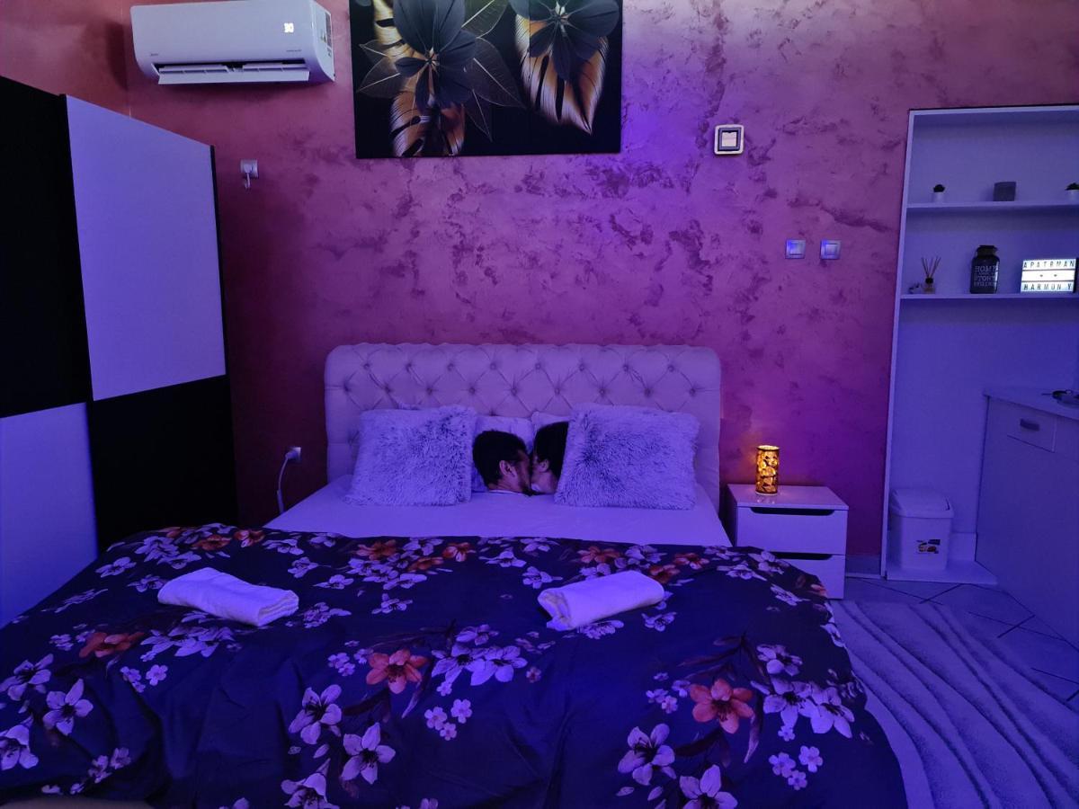 Apartman -Harmony- パラチン エクステリア 写真